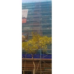 toldo 220 gramos