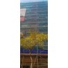 toldo 220 gramos
