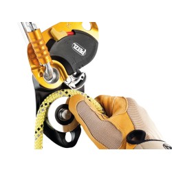Polea Pro Traxion