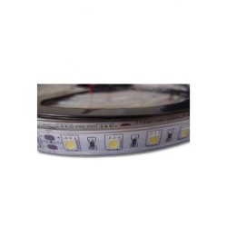 Tiras Flexibles Ashen IP67