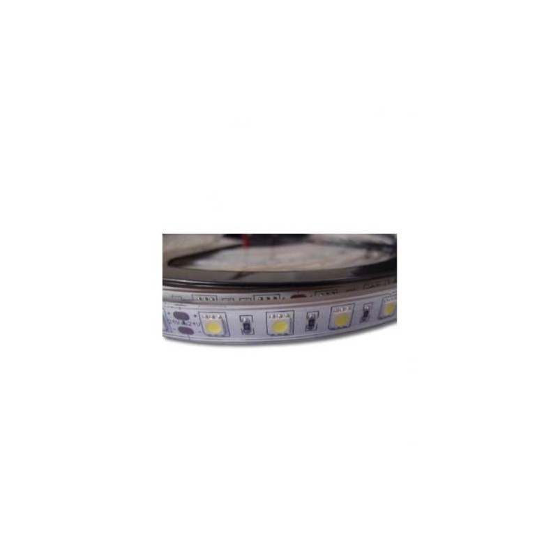 Tiras Flexibles Ashen IP67
