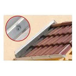 Tornillo Fijar Mod.IPSD-H 55