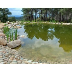 Membrana EPDM para Estanques decorativos