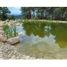 Membrana EPDM para Estanques decorativos