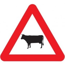 Paso de Animales Domésticos P-23 en Acero