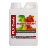 Decapante Gel Ecodecagrafi Biodegradable  (D-41)