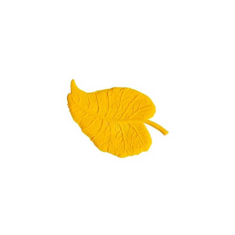 Hoja Grande