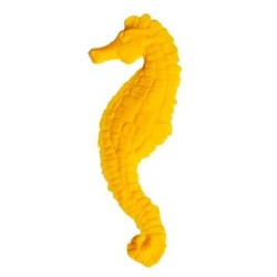 Caballo de Mar