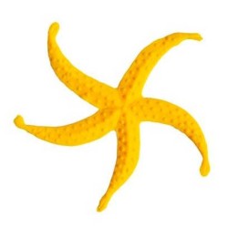 Estrella de Mar
