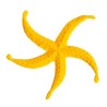 Estrella de Mar