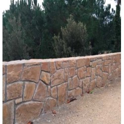Losa Arenisca Beige L40