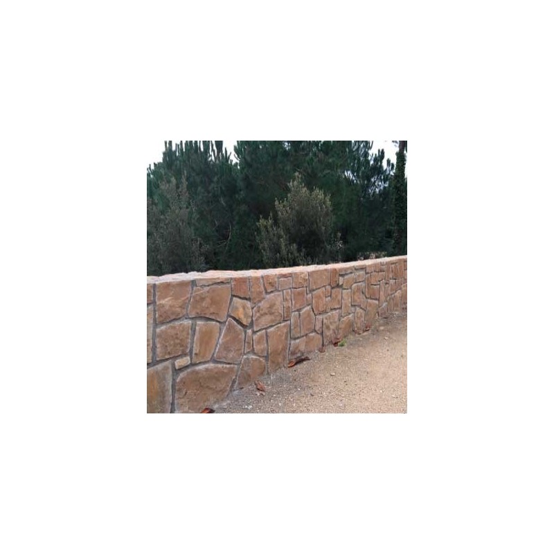 Losa Arenisca Beige L40