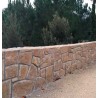 Losa Arenisca Beige L40
