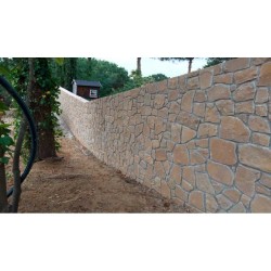 Losa Arenisca Beige L40