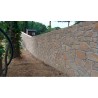 Losa Arenisca Beige L40