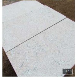 Piedra Caliza Beige Elegante TL 1B
