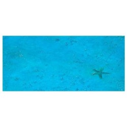 Textura Mediterránea P-28