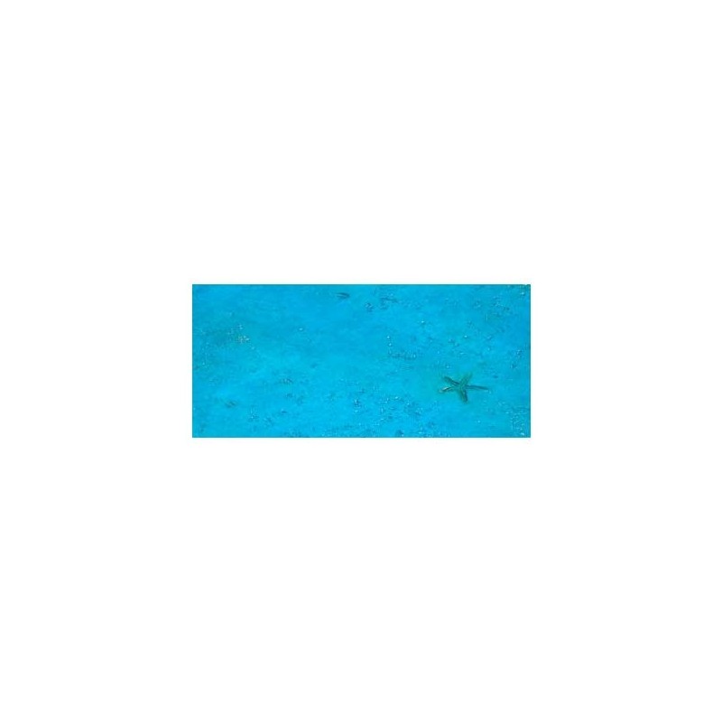 Textura Mediterránea P-28