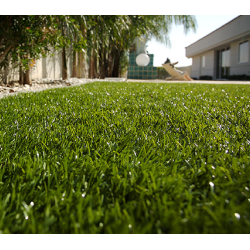 Césped Artificial Mod.Primavera