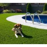 Césped Artificial para Mascotas