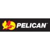 PELICAN